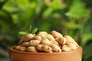 Fresh unpeeled peanuts in bowl against blurred background, closeup