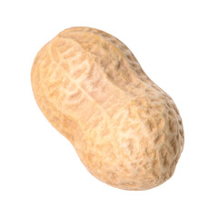 One fresh unpeeled peanut isolated on white