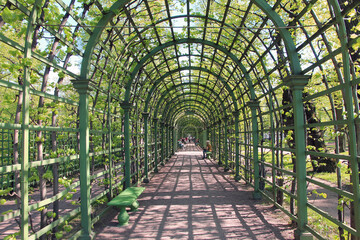 Russia, Saint-Petersburg. Arch in the Summer Garden - a monument of landscape gardening art of the first third of the 18th century.