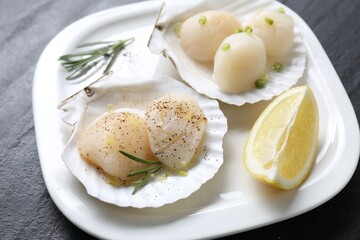 Raw scallops with green onion, rosemary, lemon and shells on dark textured table, closeup