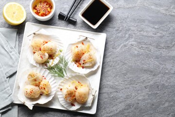 Raw scallops with spices, lemon zest, shells and sauces on grey marble table, flat lay. Space for text
