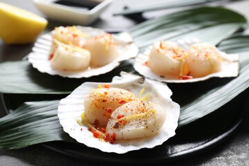 Raw scallops with spices, lemon zest and shells on grey table, closeup