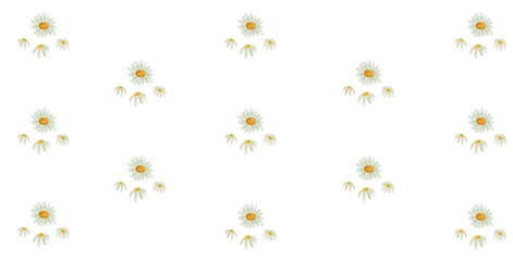 seamless pattern with flowers	