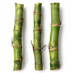 Obraz premium Bamboo shoots on Isolate white background.