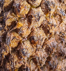close up of a pineapple in sand, texture