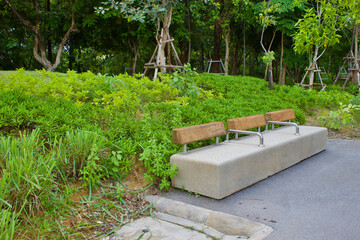 Bench in garden with green plants background