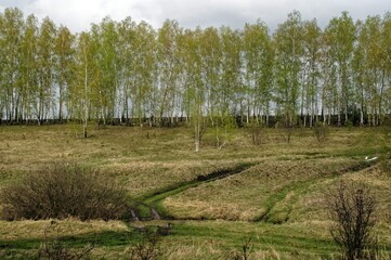 Muddy dirt road in the countryside in spring