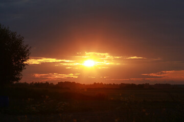 sunset over the forest