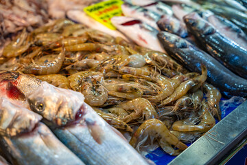 Closeup view of assorted seafood and fish at Fish market in Fethiye, Turkey. Raw fish and seafood.