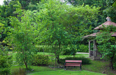 Bench in beautiful green garden landscape