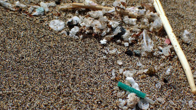 Green microplastics in the foreground mimic vegetation that marine life mistakes for food on a warm beach on the volcanic island of Lanzarote. Selective focus, copy space.