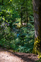 Fluß Grobbach in Baden-Baden zum Wasserfall Geroldsau