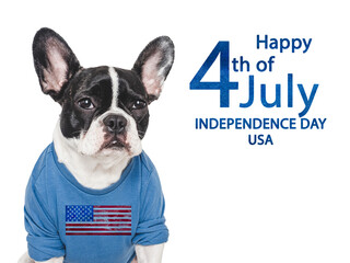 Happy Independence Day. American Flag, cute puppy and congratulatory inscription. Closeup, indoors. Studio shot. Congratulations for family, loved ones, friends and colleagues. Pets care concept