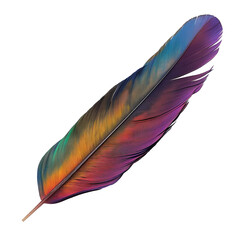 A colorful feather with a rainbow pattern