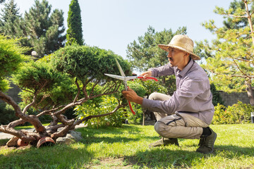 A middle adult man working at his backyard. A male gardener trimming trees and plants.