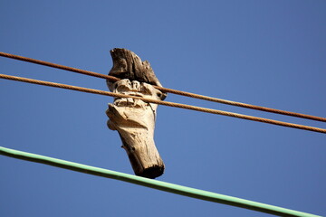 The texture of wood and wood products.