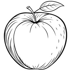 Apple outline coloring book page line art drawing vector illustration for children and adults