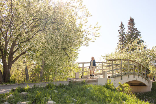 Woman walking with small black and white dog over a bridge in a park on a sunny Summer day in Calgary, Alberta