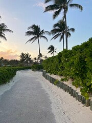 Fototapeta premium Nature Beach / Urlaub