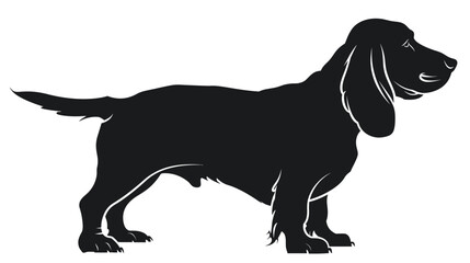 Vector black silhouette of a standing basset hound dog isolated on a white background