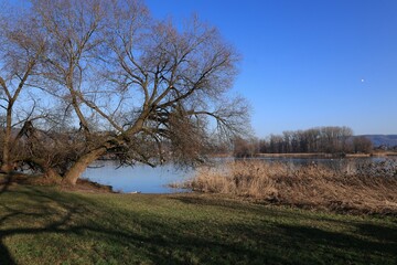 Blick auf den Rhein bei Stein am Rhein in der Schweiz	