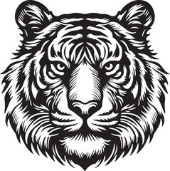white tiger head