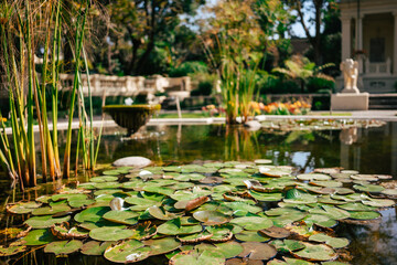 Lily pond with lush vegetation and a distant view of traditional architecture in Kathmandu, Nepal....