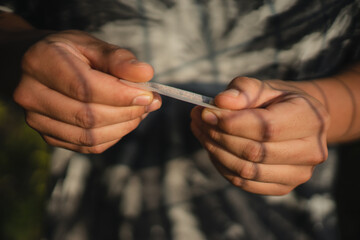 closeup hands rolling a tobacco cigar