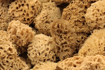 A close-up of a sea sponge intended for washing, filling the entire frame.