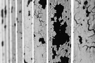 A black and white photo of pickets in a fence with paint peeling off.