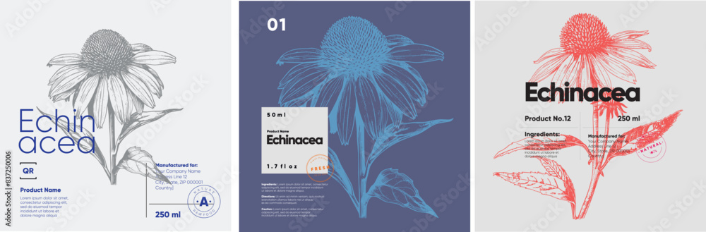 Poster label design featuring echinacea in an engraving style, presented on various colored backgrounds. ea