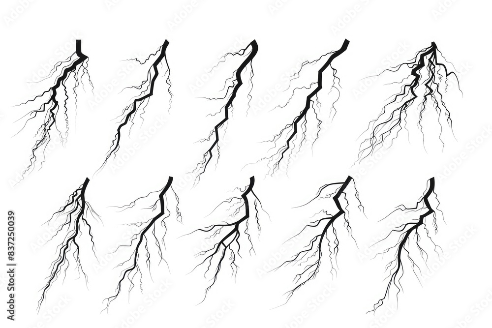 Poster black and white image of tree branches