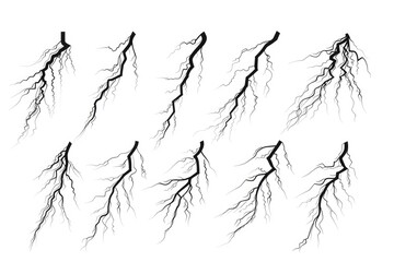 Black and white image of tree branches
