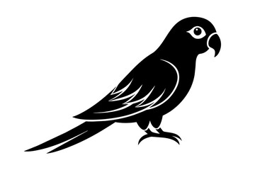 parrot bird silhouette vector illustration