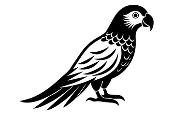 parrot bird silhouette vector illustration