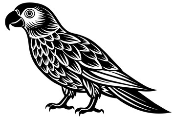 parrot bird silhouette vector illustration