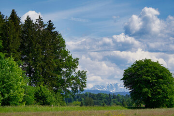 landscape with mountains