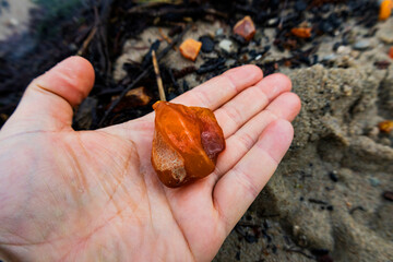 A person is examining a small piece of amber with their hand