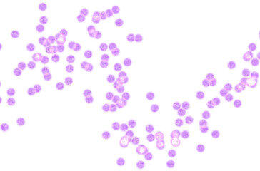 Pink blurry confetti on transparent background 