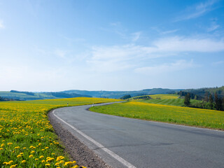 spring countryside of german sauerland with blooming fields of dandelions