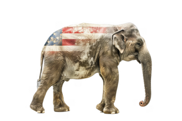Elephant with US flag isolated on transparent background