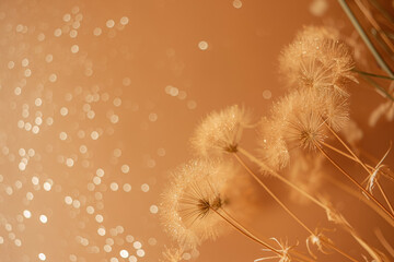 Fototapeta premium An artistic close-up of delicate dandelion flowers with a soft golden glow, set against a bokeh of shimmering lights