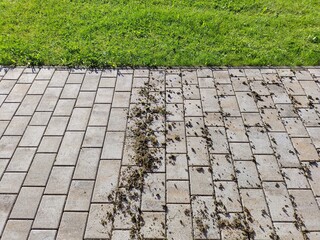 Removing moss from in between paving stones at patio. Obvious difference between scraped, cleaned...
