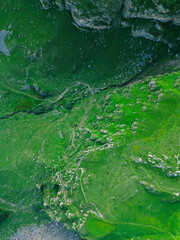 Green grassy mountain landscape - drone photo wallpaper background