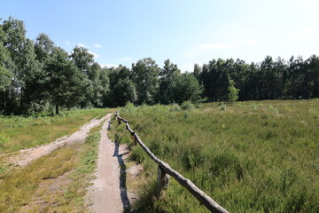 Blick auf das Venner Moor in der Nähe der Gemeinde Senden im Münsterland	