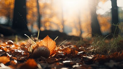 autumn leaves background, generative ai