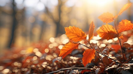 autumn leaves background, generative ai