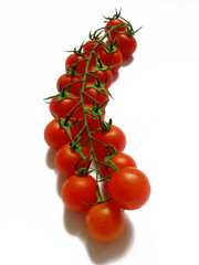 Cherry tomatoes on a branch on a white background