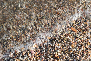 Surface small seashells on the sand beach. Beach background with small seashell and Multi-colored pebbles