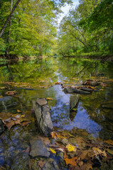 stream in the forest ohio usa